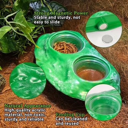 Tfwadmx Magnetic Reptile Feeder Ledge, Gecko Feeder Ledge with 4 Cups Reptile Feeding Bowl Terrarium Accessories for Geckos Lizards Chameleons Frog (Green) - color: Green