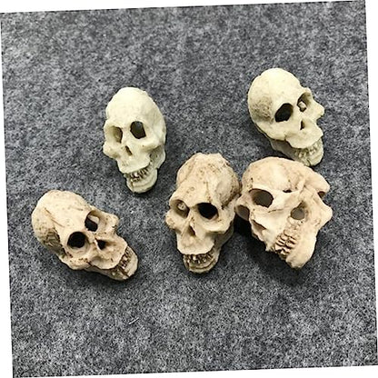 Gecko Tank Accessories 2pcs Mini Skulls for Aquarium Human Skull Aquarium Decoration Reptile Tank Decor Style