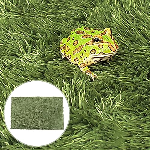 POPETPOP 2pcs Turtle Snake Gecko Terrarium Carpet Reptile Mat for Iguana Chameleon Rabbit Washable Odorless Soft Absorbent Terrarium Liner