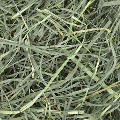 Oxbow Orchard Grass Hay for Small Pets – All-Natural Long Strand Fiber Hay for Rabbits, Guinea Pigs, Chinchillas, and Hamsters – Supports Digestive Health and Enrichment – 40 oz Bag - size: 40 Ounce (Pack of 1)