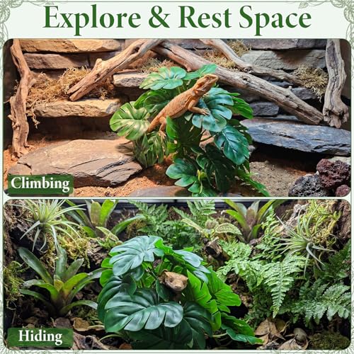 Suncalla 4 Pack Reptile Plants for Terrarium Decor, Snake Tank Accessories, Amphibian Habitat Decor, and Artificial Plants with Base for Bearded Dragon, Gecko, Lizard, Chameleon(Monstera Deliciosa) - style: Monstera Deliciosa