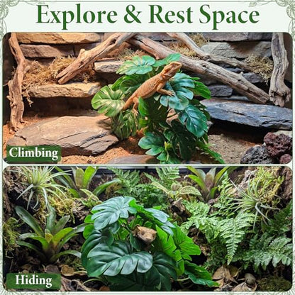 Suncalla 4 Pack Reptile Plants for Terrarium Decor, Snake Tank Accessories, Amphibian Habitat Decor, and Artificial Plants with Base for Bearded Dragon, Gecko, Lizard, Chameleon(Monstera Deliciosa) - style: Monstera Deliciosa
