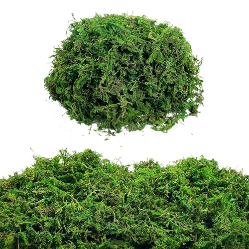 Green Moss for Crafts Artificial Moss Decorative Moss for Potted Plant Faux Orchid Moss Potting Mix Soil Peat Sphagnum Moss Pole Craft Arts Floral Wedding Decor Fairy Garden Terrariums Decoration - color: Green, size: 100g