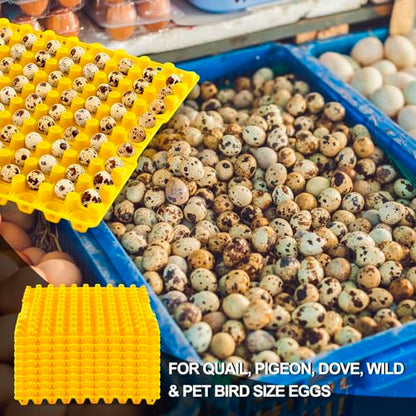 Teenyyou 10 Pcs 90 Egg Plastic Trays Quail Egg Flats Holder for Quail Pigeon Dove Bird Flat Carton (Yellow) - color: Yellow