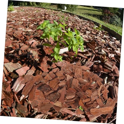 Abaodam 1bag Reptile Tank Bark Chips Adornment Natural Tree Bark Chips Reptile Bedding Decor Tank Decor Chameleon Substrate