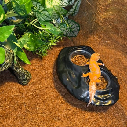 Tfwadmx Magnetic Reptile Feeder Ledge, Gecko Feeder Ledge with 4 Cups Reptile Feeding Bowl Terrarium Accessories for Geckos Lizards Chameleons Frog (Black) - color: Black