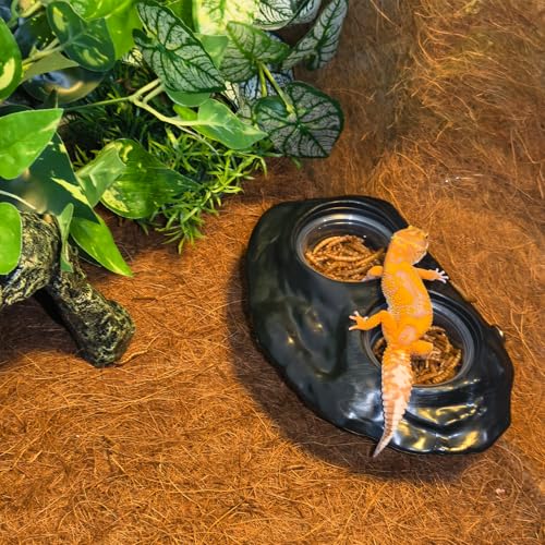 Tfwadmx Magnetic Reptile Feeder Ledge, Gecko Feeder Ledge with 4 Cups Reptile Feeding Bowl Terrarium Accessories for Geckos Lizards Chameleons Frog (Black) - color: Black