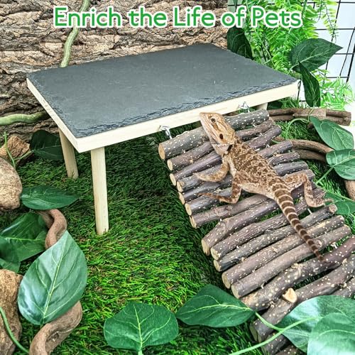 BNOSDM Basking Rock Platform with Climbing Ramp Reptiles Hideout Bearded Dragon Hide Cave Reptile Tank Accessories Suit for Tortoise, Lizard, Toad, Gecko (Large)