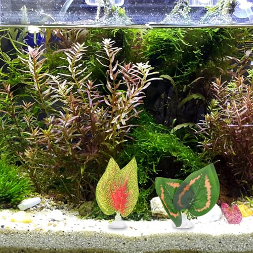 PRETYZOOM 2pcs Reptile Plants Ornaments Artificial Leaf Set with Suction Cups for Terrarium Decor Simulated Plastic Leaves Including Perilla and Fruit Leaf Suitable for Turtle Lizard
