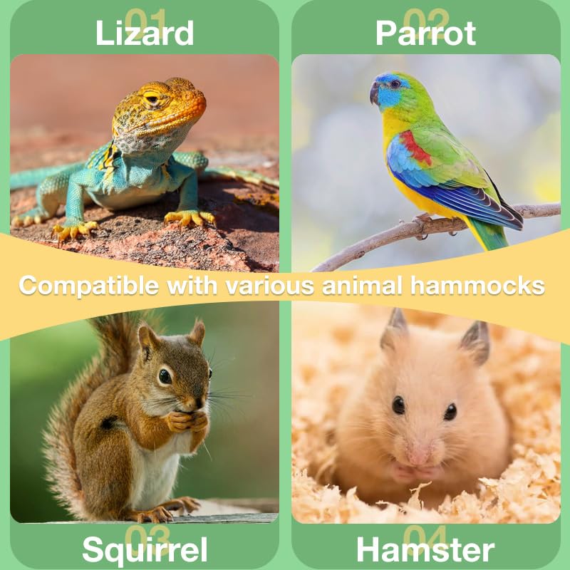 Reptile Hammock Swing Hanging Bed, PP Grass Pad，Portable Bird Swing Stand Reptile Natural Swing Hanging Bed for Bearded Dragon Leopard Gecko Lizard Birds Parrots（Round） - color: Round