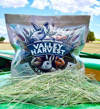 Grass Hay – Nutritious Feed for Rabbits, Guinea Pigs, Chinchillas, Tortoises & Hamsters – Natural Snack & Daily Feed for Small Pets