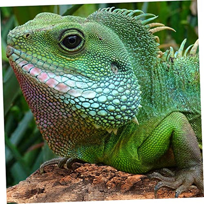 4pcs Reptile Tree Bark Decor for Terrarium Secure Climbing Platform Natural Design for Pets Sturdy and Stain Resistant Reptile Accessories
