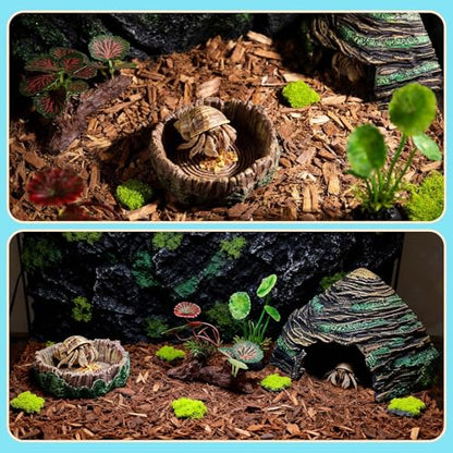 Hermit Crab Accessories Kit 5 PCS, Exclusive Hiding House + Food/Water Bowl + 3 Artificial Plants, Naturalistic Terrarium Decor for Hermit Crabs (Not for Large Reptiles)