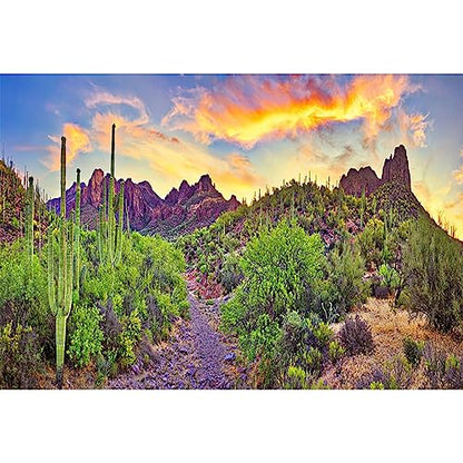 AOFOTO 10x8ft Western Desert Backdrop Arizona National Park Rock Mountain Green Plants Saguaro Cactus Landscape Terrarium Background Reptile Habitat Tank Decor Cowboy Pet Portrait Photo Shoot Props - size: 10x8ft