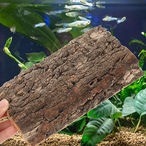 POPETPOP 6pcs Cork Bark Decorative Background for Reptile Tanks and Aquariums Natural Aesthetic Decor for Turtles Lizards and Snakes Easy to Install No Maintenance Required