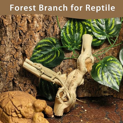 BNOSDM Reptile Branches, 5.9inch Snake Climbing Branch, Terrarium Wood Branch Decor, Bearded Dragon Tank Climbing Accessories for Lizard, Gecko, Chameleon, Frog