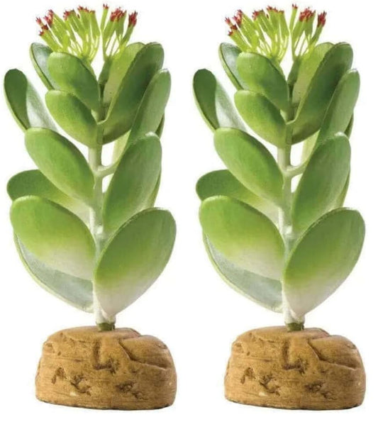 Exo Terra Jade Cactus Terrarium Plant (Pack of 2) - size: One Size (Pack of 2), style: Jade Cactus