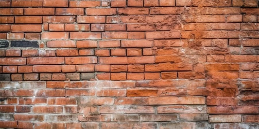 YongFoto Reptile Terrarium Background 24x12 inch Reptile Tank Background Vintage Brick Wall Reptile Habitat Background Bearded Dragon Fish Tank Aquarium Background Backdrop - color: Red, size: 24x12in/60x30cm