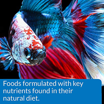 API BETTA FOOD Fish Food Pellet .78-Ounce Container - size: 1 Ounce (Pack of 1)