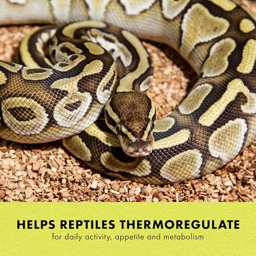 Zilla Heat Mat, Terrarium Heater for Reptiles, Snakes (Ball Pythons, Corn Snakes), Leopard Geckos, Tortoises, Amphibians and Arachnids, Small, Fits 10-20 Gallon, 8 Watt - size: Small