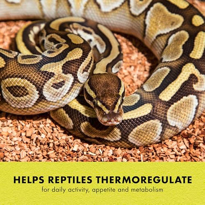 Zilla Heat Mat, Terrarium Heater for Reptiles, Snakes (Ball Pythons, Corn Snakes), Leopard Geckos, Tortoises, Amphibians and Arachnids, Medium, Fits 30-40 Gallon, 16 Watt - size: Medium