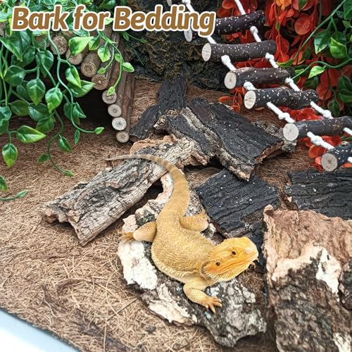 BNOSDM Reptile Cork Bark Substrate and Sea Grass Bed Mat for Lizard, Gecko