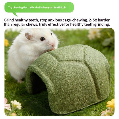 Natural Hamster Chew Toys, Turtle Shell Shape Hideaway, 5x4 Inches Wooden House with Safe Material, Eco Friendly Small Animal Shelter, Pet Cage Accessory Fun Design, Chewing Toy for Gerbil Chinchilla