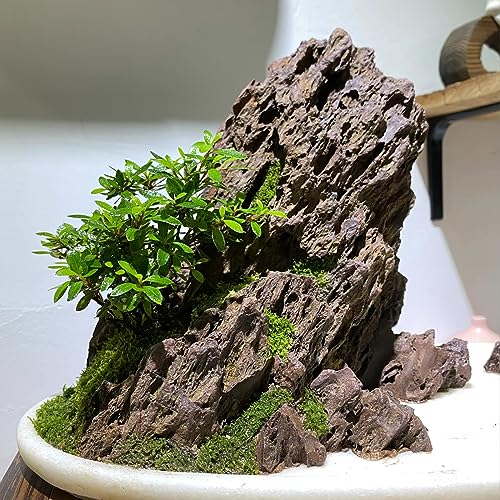 Natural Stone 20lb Aquarium Rocks for Aquarium Landscaping Models and PH Neutral Rocks Aquascaping Stones for Terrariums-2-8 inches - size: 20LB(2-8 inches)