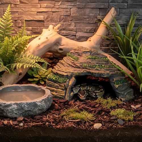 Reptile Hideout Cave with Textured Top for Natural Shedding Aid | Non-toxic resin habitat decor, fits terrariums to reduce pet stress. Sized 6.3x6.3x4.06 in for geckos & spiders.