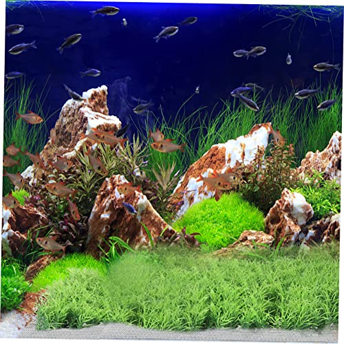 10pcs DIY Aquarium Background Grass Plant Net Stainless Steel Mesh Fish Tank Accessory Easy to Use