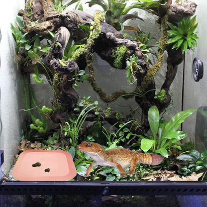 2 Pcs Leopard Gecko Potty Pad,Crested Gecko Potty Latrine，Leopard Gecko Tray，Reptile Litter Box，Portable Gecko Tank Accessories (Pink) - color: Pink