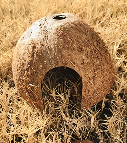 Hexagrowth Coconut Hideouts, Betta Fish, Shrimp, Small Hermit Hide, Reptile Natural Cave, Aquarium, Decor, 1 Pack