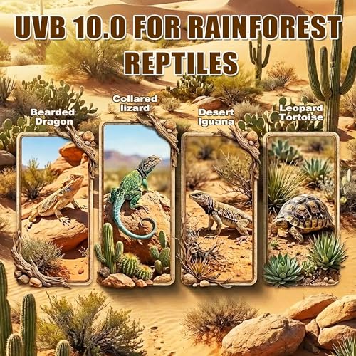 T5 HO UVB Reptile Light Kit, 22.6" Fixture with 14W 10.0 UVB Tube, Suitable for Desert Reptiles Including Adult Bearded Dragons - color: 10.0 Desert, size: 14W-22.6Inch