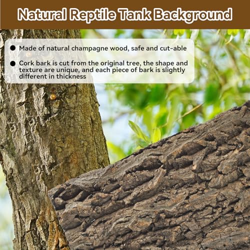 4PCS Reptile Tank Background,11.81 x 11.81 Inch Terrarium Cork Bark Background Bearded Dragon Tank Backdrop Natural Reptile Cork Bark Mat for Lizard Gecko Chameleon Tortoise Snake Spider Frog - size: 【11.81 x 11.81 In】