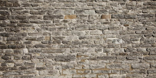 YongFoto Reptile Terrarium Background 24x12 inch Reptile Tank Background Vintage Brick Wall Reptile Habitat Background Bearded Dragon Fish Tank Aquarium Background Backdrop - color: Gray, size: 24x12in/60x30cm