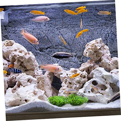 BESTonZON 10Pcs Stainless Steel Grass Plant Net for Aquarium Moss Fixed Mesh Rust-Resistant Fish Tank Accessory
