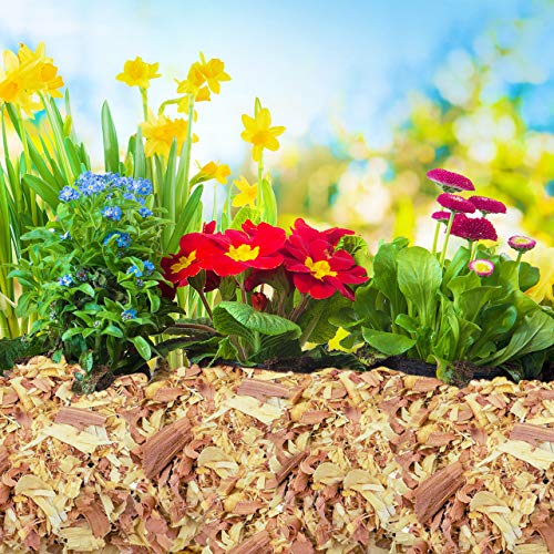 100% Natural Cedar Shavings | Mulch | Great for Outdoors or Indoor Potted Plants | Dog Bedding (Small) - size: Small