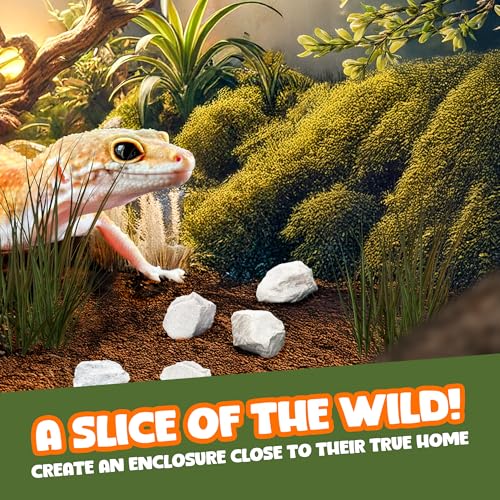 Meric CoCoo Mineral Rocks for Leopard and Crested Geckos, Reptile Enrichment, Terrarium Decor, with Lime, Calcium, and Trace Elements, 2 oz.