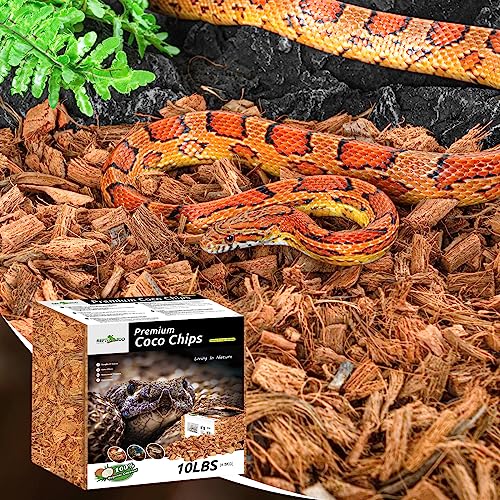 REPTI ZOO 72 Quart Reptiles Coconut Chip Substrate, Coco Husk Reptiles Bedding for Ball Python, Snakes, Geckos, Lizards, Tortoises, Frogs | Terrarium Tanks Substrate - style: Coconut Chip Substrate