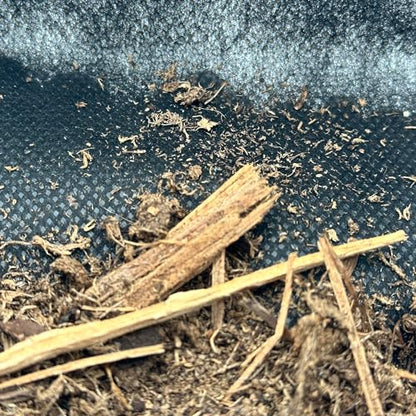 CTWPets Reptile Substrate Liner for Terrarium, 24"x18" Substrate Guard Mesh