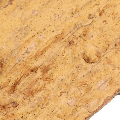 Toddmomy 2-Pack Reptile Cork Bark Aquarium Decor 7.87X3.93 Inch Natural Oak Bark Background for Terrarium Climbing Habitat Accessories for Lizard Gecko Bearded Dragon