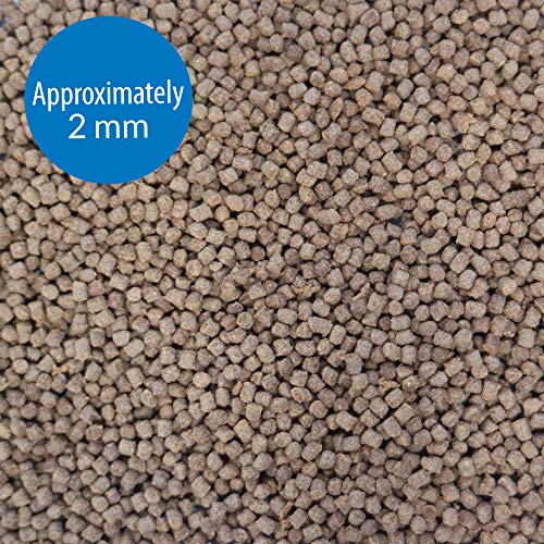 API BETTA FOOD Fish Food Pellet .78-Ounce Container - size: 1 Ounce (Pack of 1)