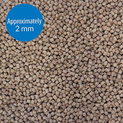 API BETTA FOOD Fish Food Pellet .78-Ounce Container - size: 1 Ounce (Pack of 1)
