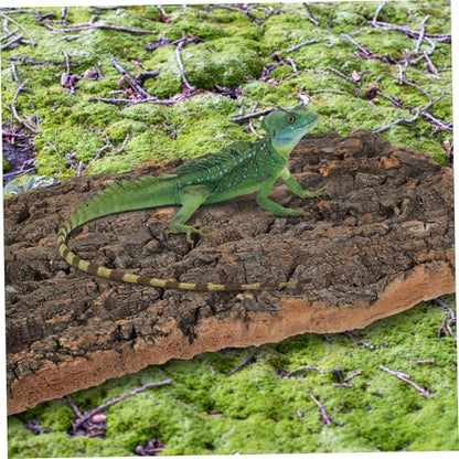 BESPORTBLE 2pcs Cork Bark Aquarium Decor Natural Tree Bark Hideout for Reptiles Bearded Dragon and Lizard Tank Versatile Trimmable Easy to Assemble Background for Habitat Enrichment