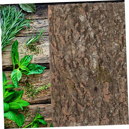 Totority Natural Cork Bark Reptile Decor Climbing Platform Rough Texture Background for Gecko Lizard Snake Habitat Terrarium Accessories