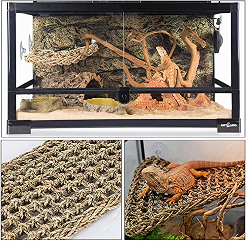 2 Pcs Chameleon Bowl (2.1" D*2.3" H) &3 Pack Bearded Dragon Hammock (11" L*8" W)