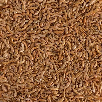 Tetra ReptoMin Select-A-Food 1.55 Ounces, For Aquatic Turtles, Newts And Frogs, Variety Pack - size: 1.55 Ounce (Pack of 1)