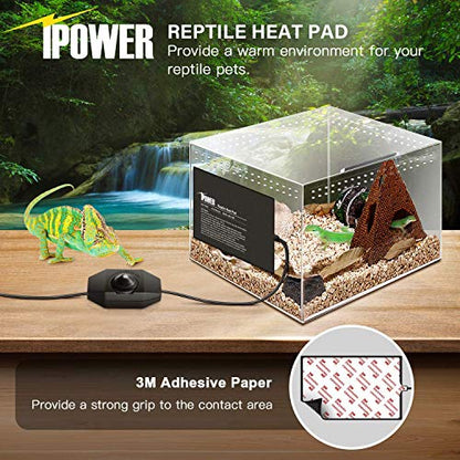 iPower 8"x12" Under Tank Warmer Heating Pad Terrarium Heat Mat with Temperature Adjustable Controller, Thermometer and Hygrometer with Temperature and Humidity Probe for Amphibian and Reptile - size: 8 X 12 Inch, style: Adjustable Pad + Thermo & Hygromete