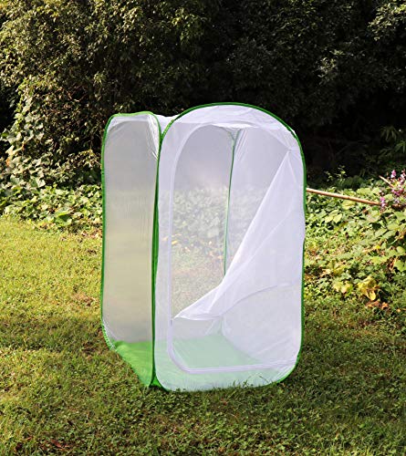 5 Feet Extra Large Monarch Butterfly Habitat, Giant Collapsible Insect Mesh Cage Terrarium Pop-up (White + Green, 35 x 35 x 59 Inches) - size: 35 x 35 x 59 Inches