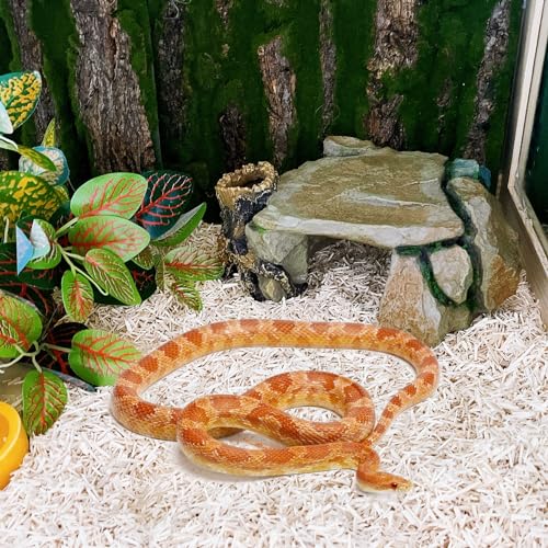 BNOSDM Reptile Hide Cave, Turtle Basking Platform, Terrarium Resin Rock Decor, Lizard Hideout Rocks Tank Accessories for Bearded Dragons, Snake, Leopard Gecko, Tortoise, Axolotls